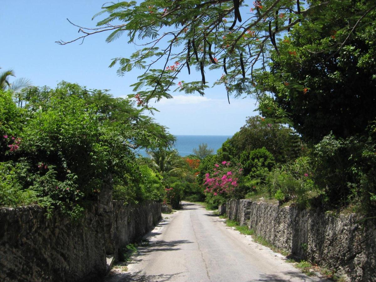 Blue Dream By Eleuthera Vacation Rentals Governor's Harbour Exteriör bild